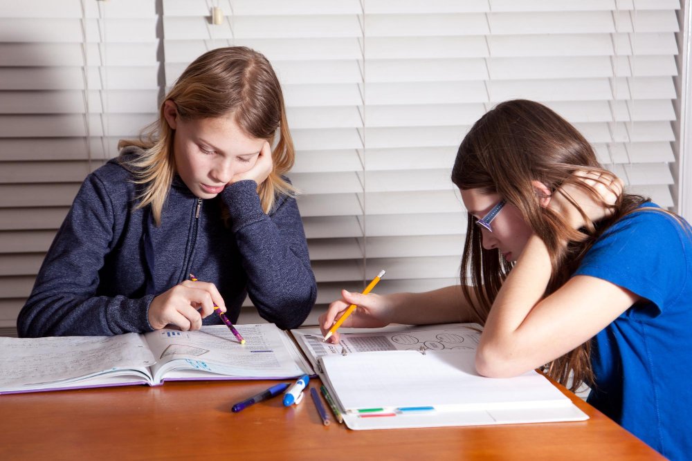 Grade Disputes & Appeals